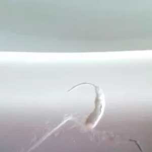 Ремонт сколов и трещин в ванне